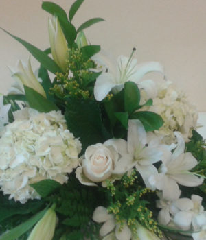 all-white-hydrangeas-oriental-lillies-and-dendrobium-centerpiece-sm